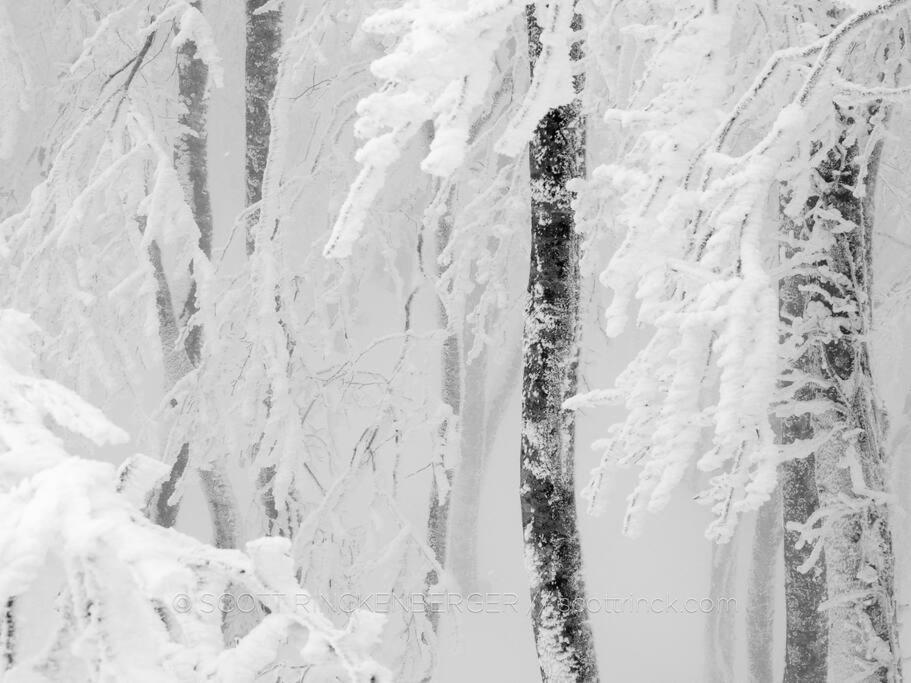 The Misorano Cottage Hakuba Luaran gambar